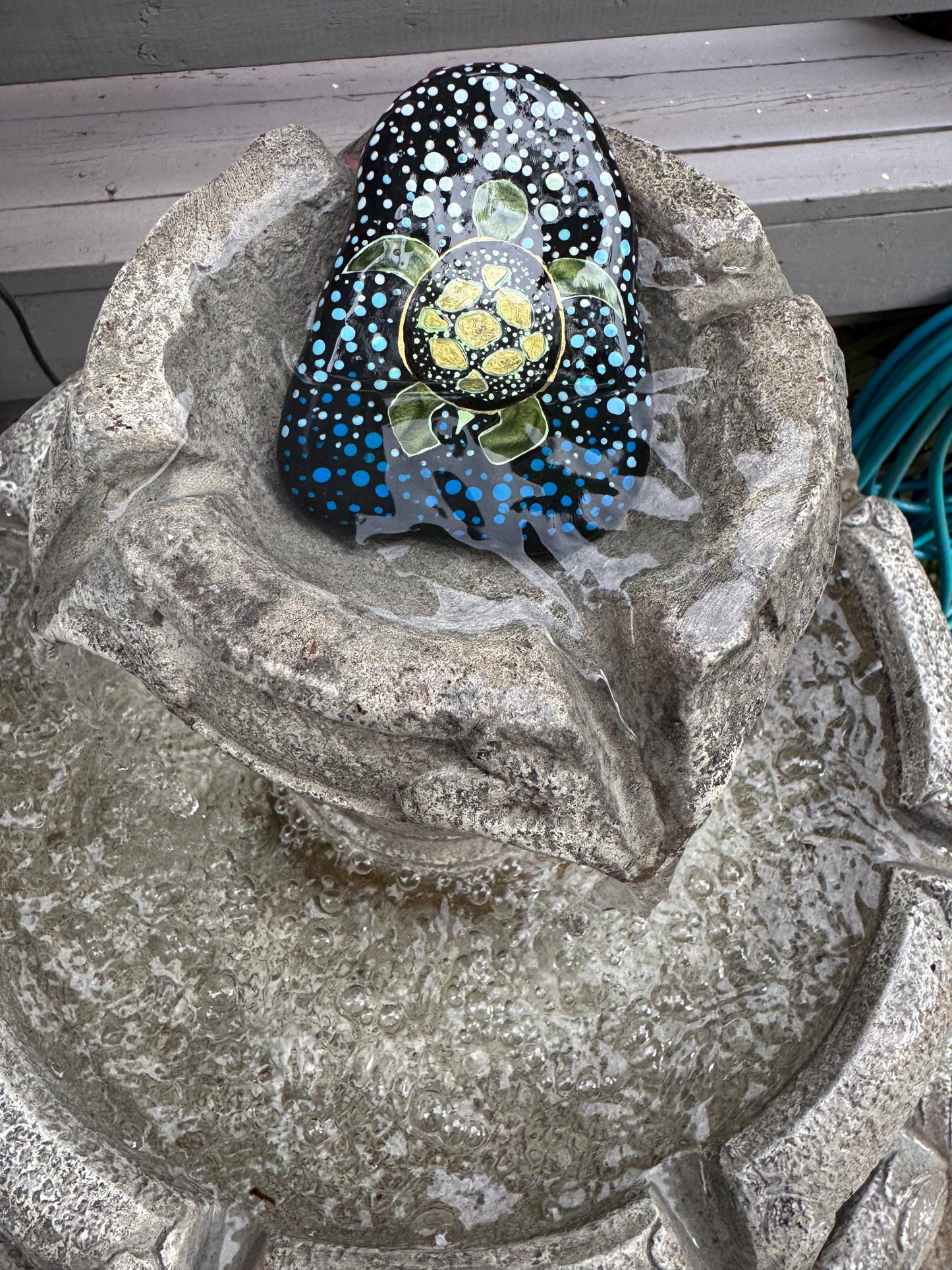 Lake Life Turtle