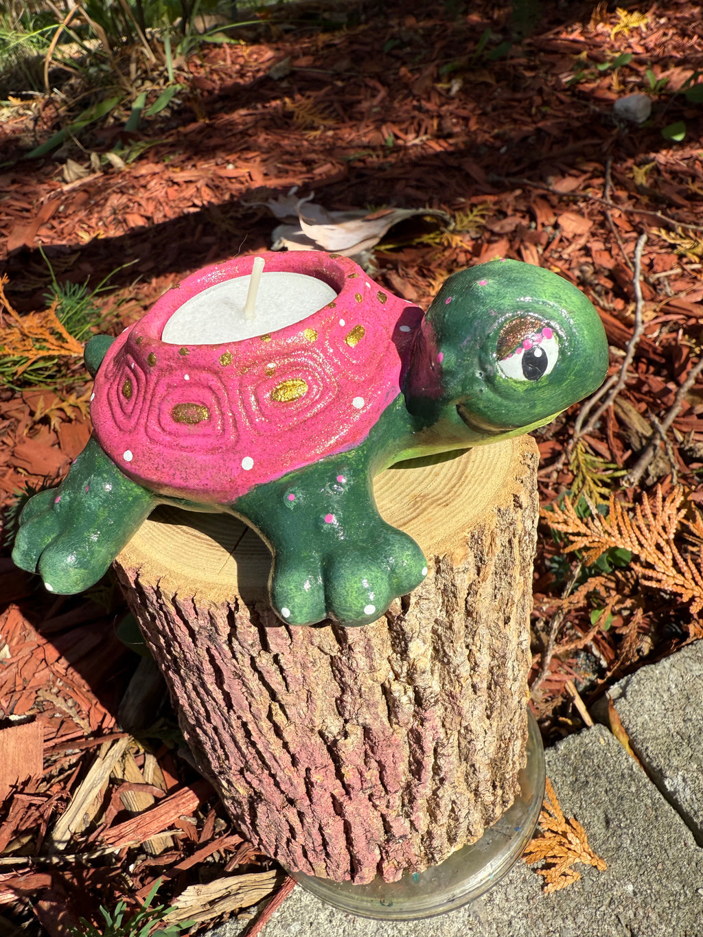 Shelly The Tealight Turtle