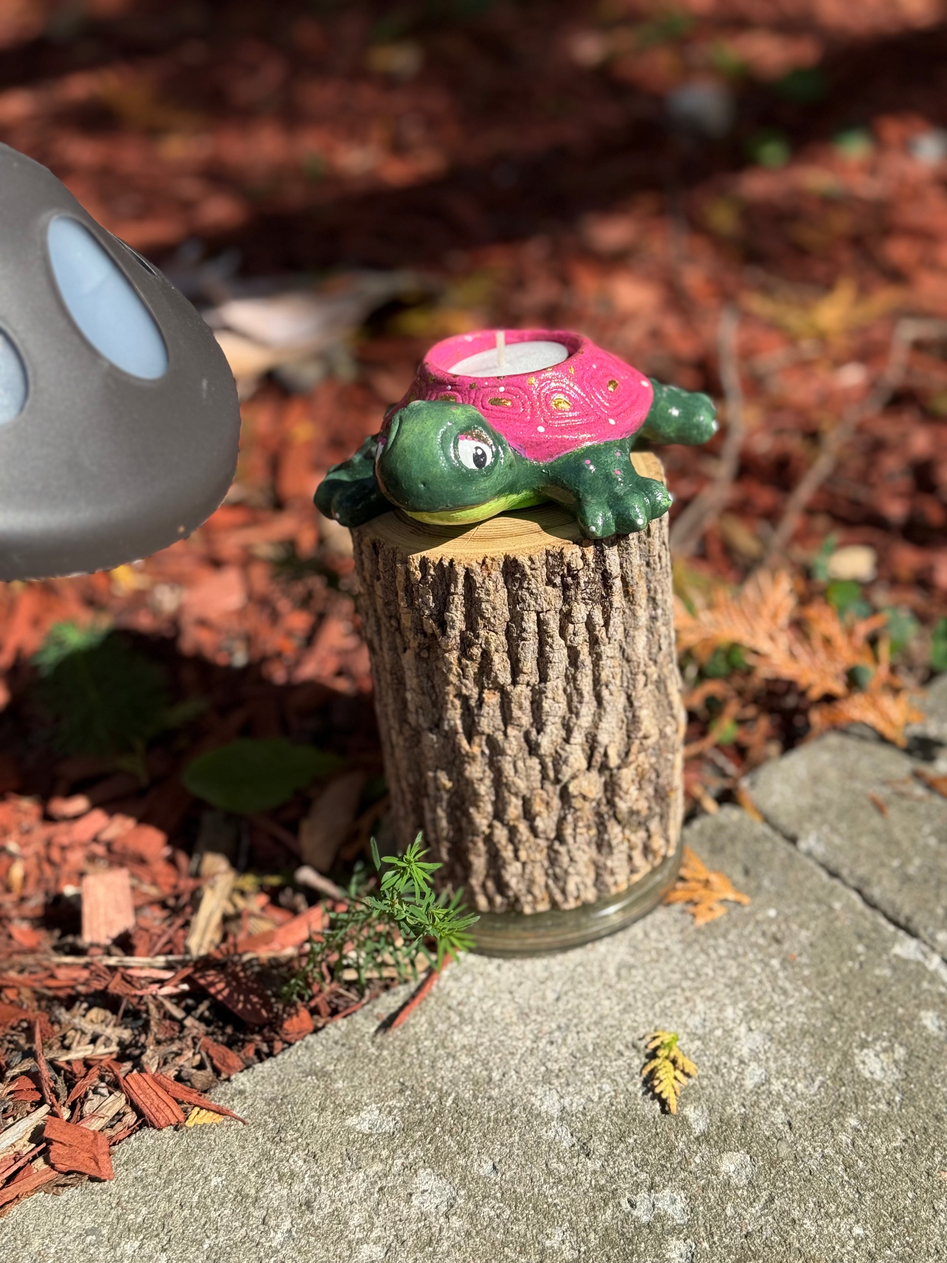 Shelly The Tealight Turtle