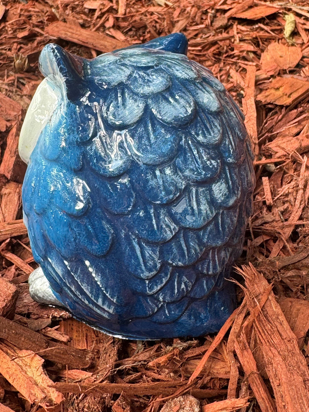 Blue Owl Eyeglass Holder