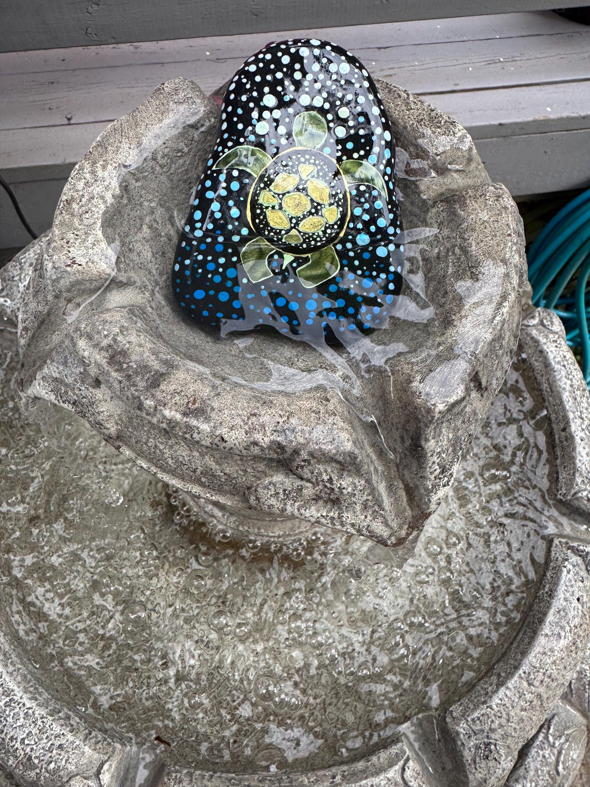 Lake Life Turtle