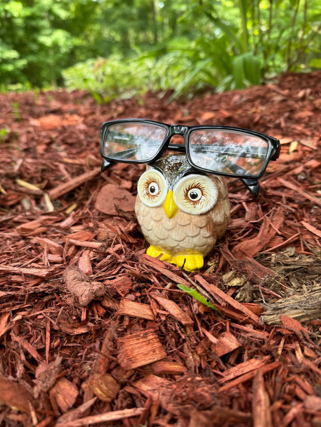 Brown Owl Eyeglass Holder