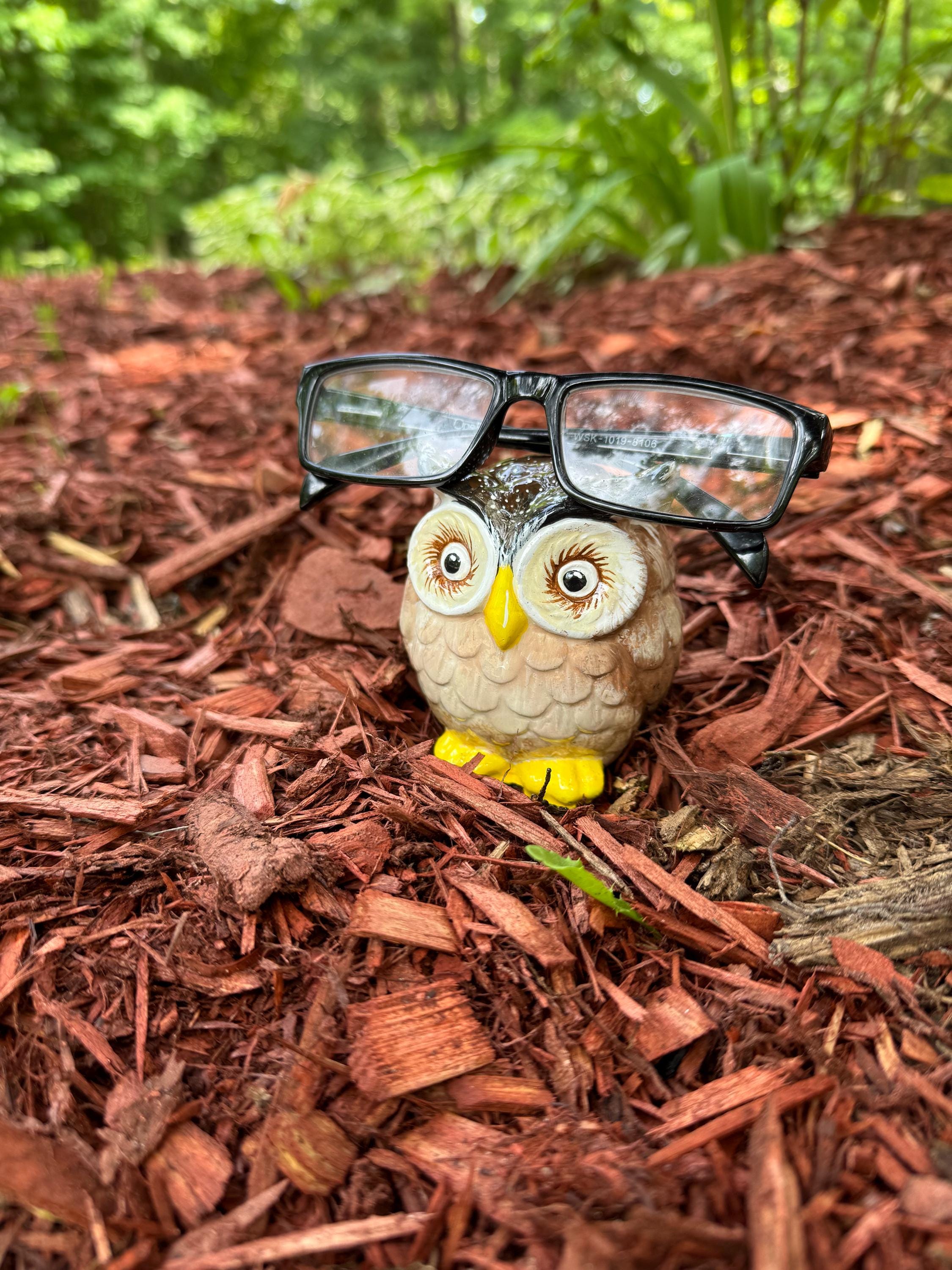 Brown Owl Eyeglass Holder