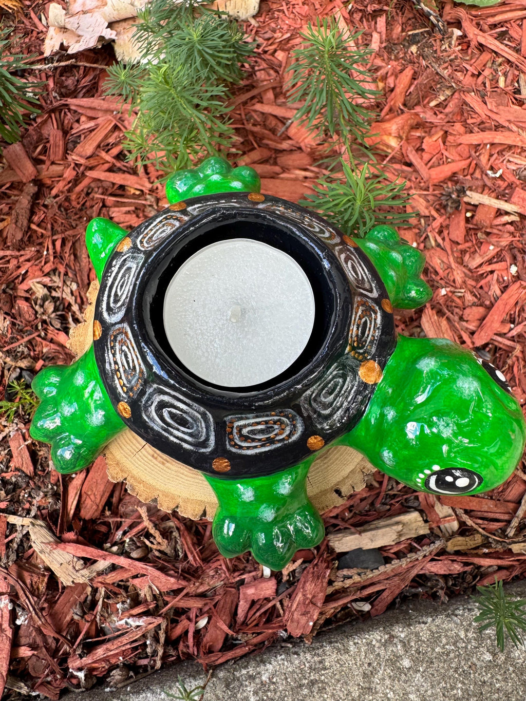 Shelly The Tealight Turtle