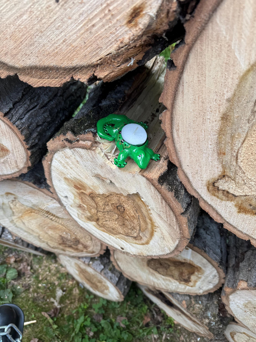 Green With Gold Skink Tealight