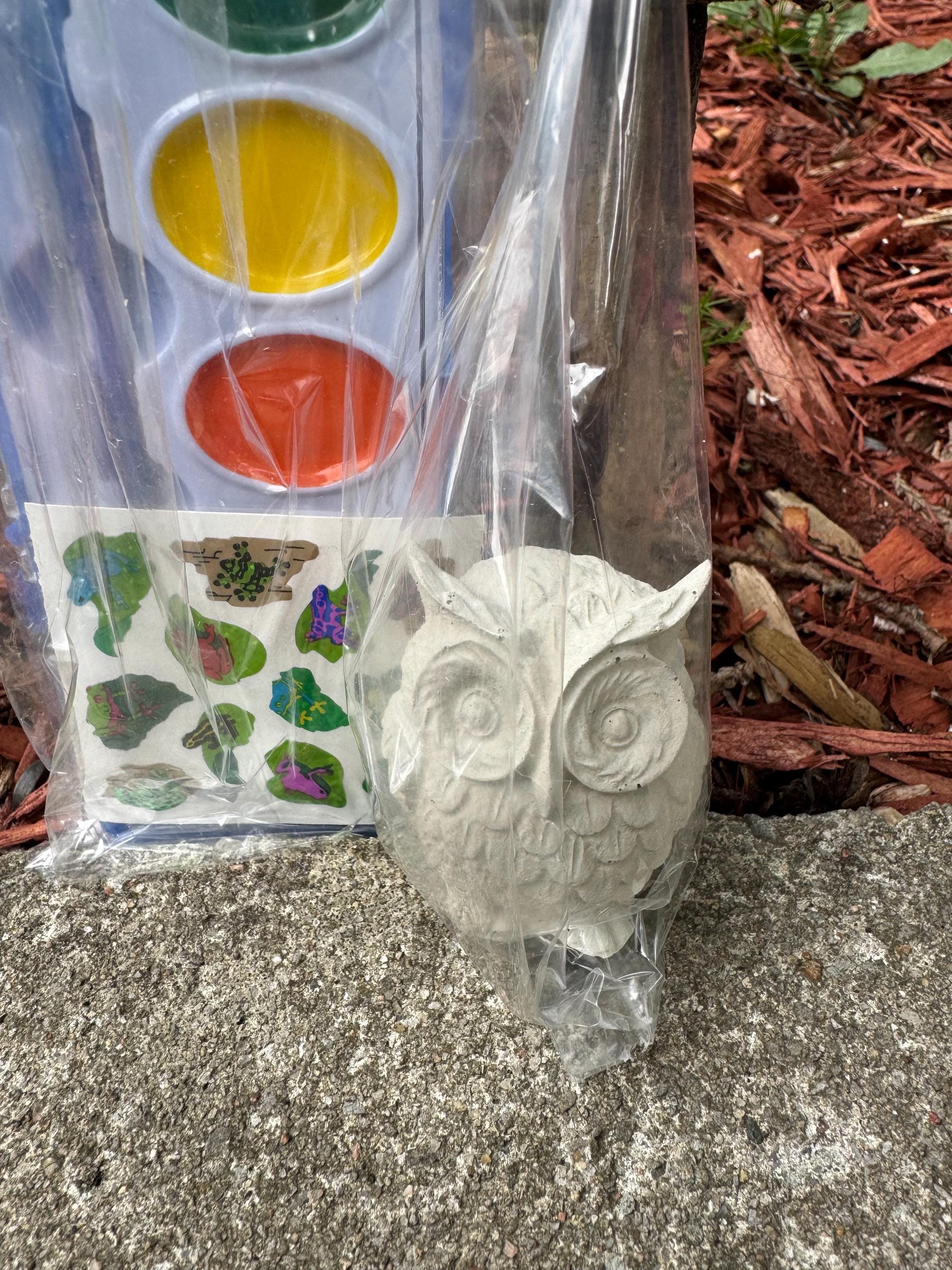 Owl Painting Kit