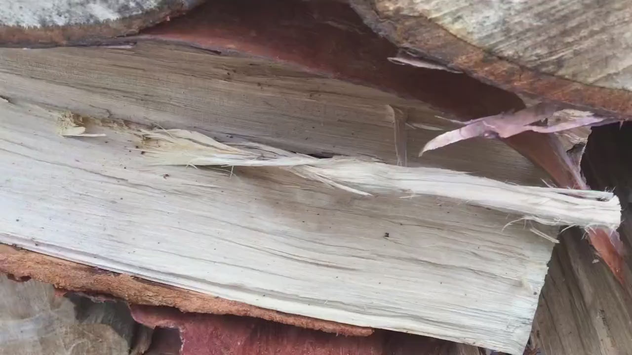 Peek-A-Boo Owl Mini Oar