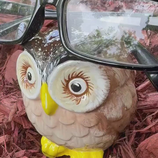 Brown Owl Eyeglass Holder