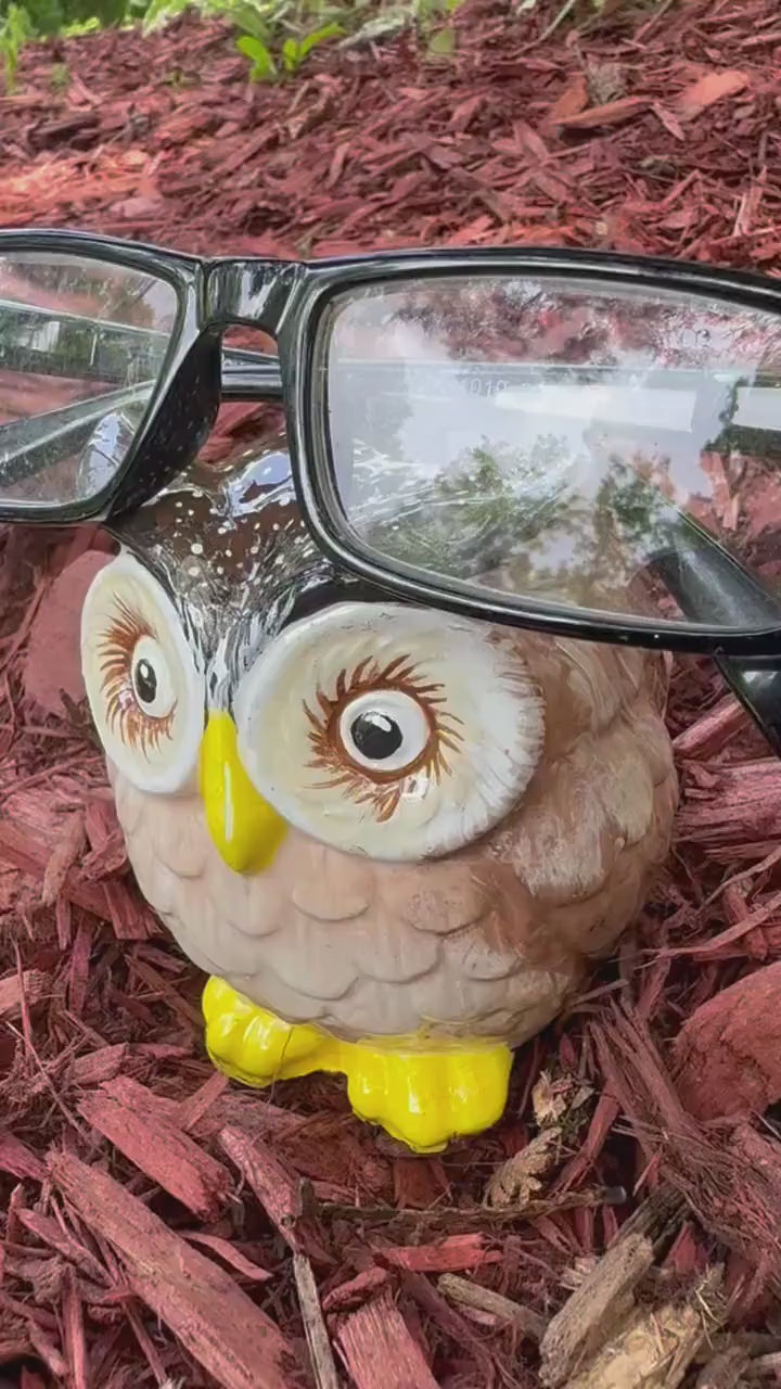 Brown Owl Eyeglass Holder