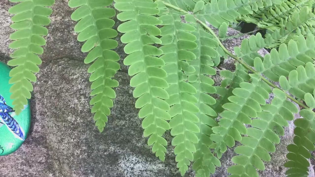 Hand Painted Blue Jay Stone
