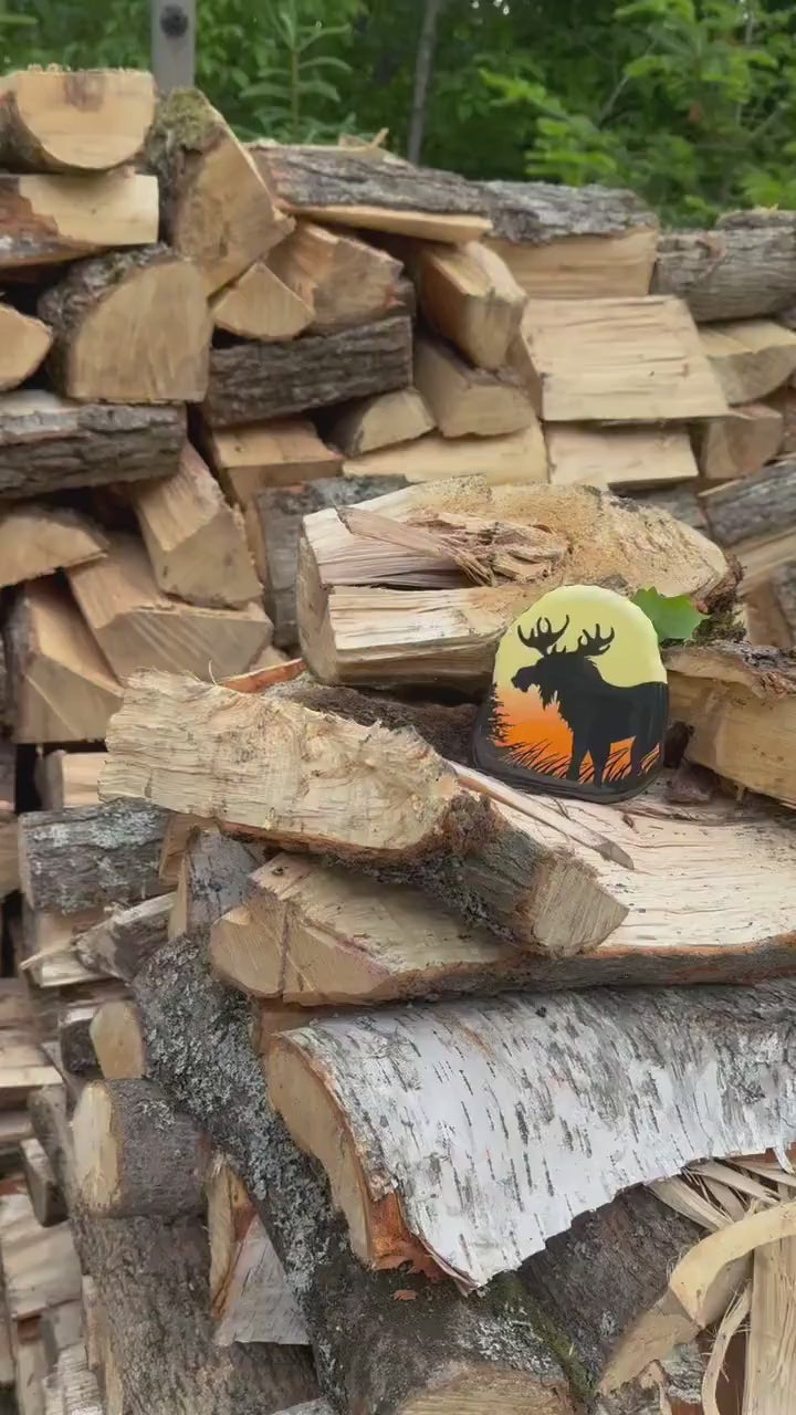 Moose Silhouette at Sunrise Stone