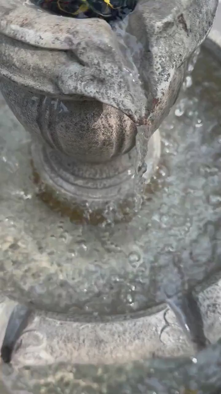 Gold and Shiny Turtle Stone