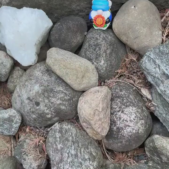 Blue Bumblebee Gnome