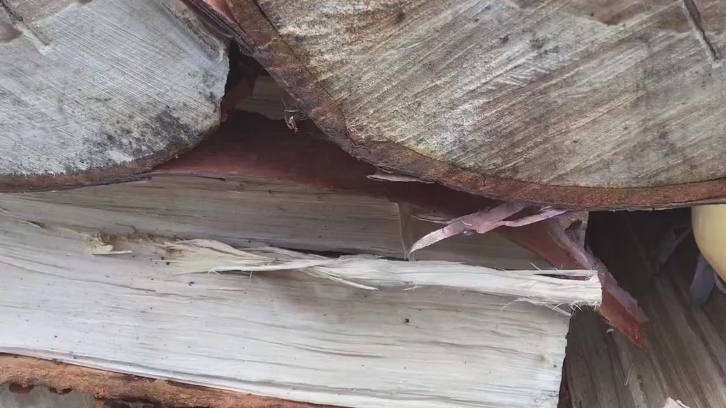 A "Welcome" Hummingbird Mini Oar