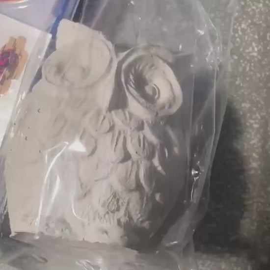 Owl Painting Kit