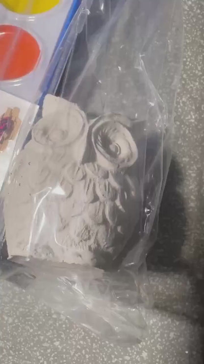 Owl Painting Kit